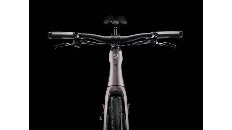 Trek FX Sport 6 Carbon Fitnessbike Diamant 28" matte bronze age/deep smoke