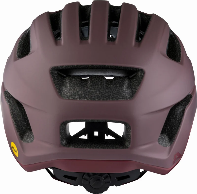 Alpina Paranus Mips Helm raisin matt