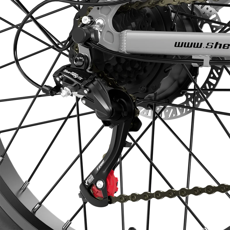 Shengmilo S600 2000W Doppelmotor-Elektrofahrrad