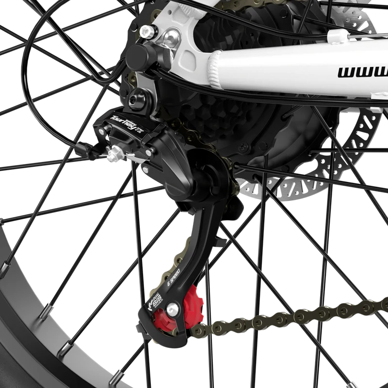 Shengmilo MX06 Step Through E-Bike 48V 17.5AH SAMSUNG Akku 90KM Reichweite