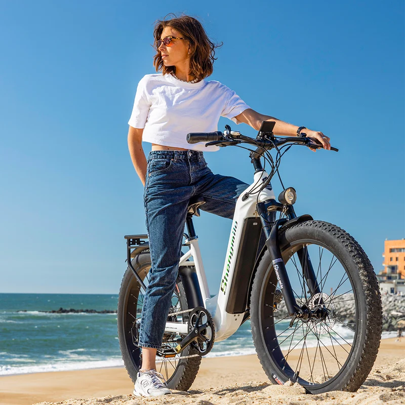 Shengmilo MX06 Step Through E-Bike 48V 17.5AH SAMSUNG Akku 90KM Reichweite
