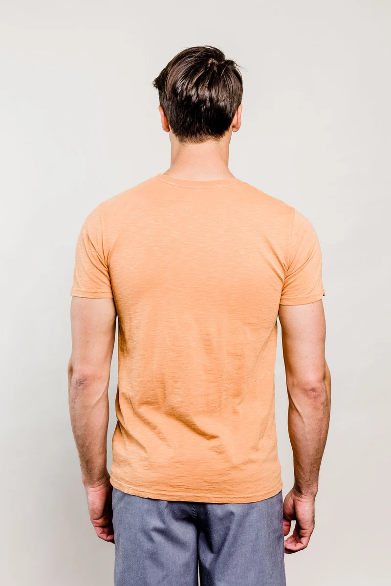 Pine Bear Tee